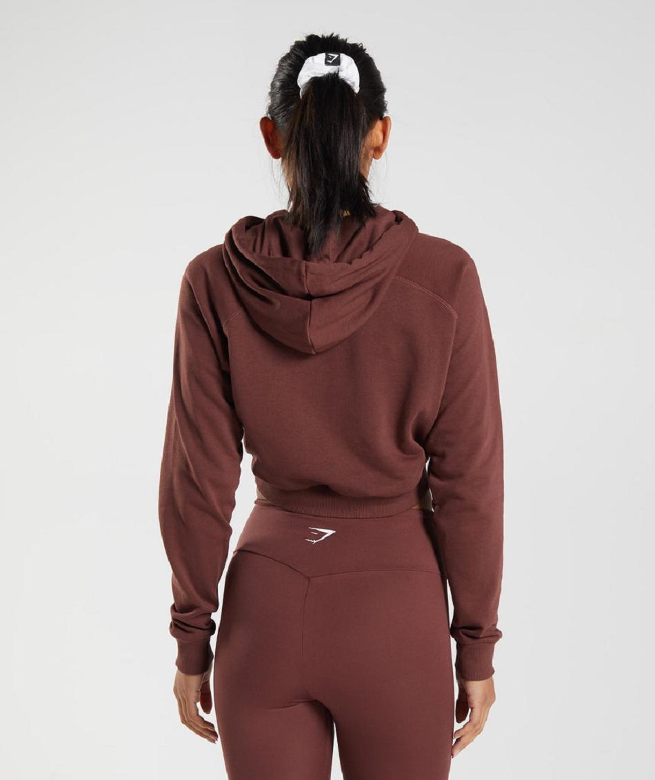 Sudadera Con Capucha Gymshark Entrenamiento Cropped Mujer Rosas Marrones | CO 2023EBC